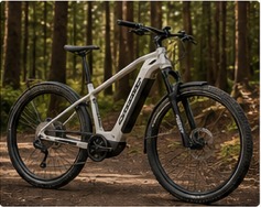 Corratec E-Power Mountain